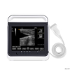 Sistema diagnostico portatile per scanner ad ultrasuoni portatile HV-50A Vet Touch B/W