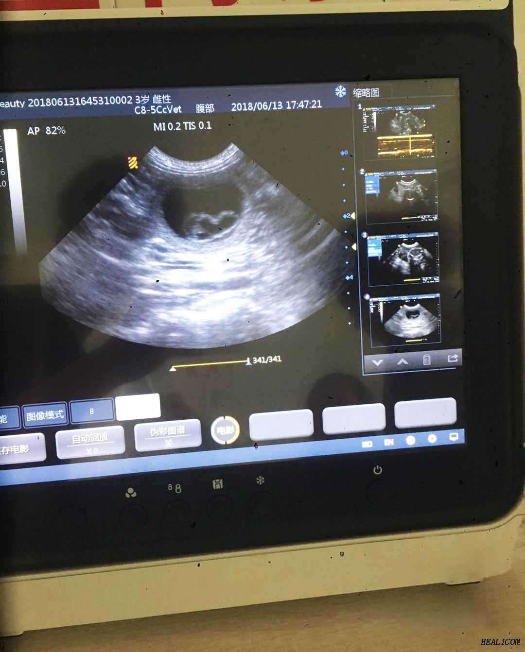 Sistema diagnostico portatile per scanner ad ultrasuoni portatile HV-50A Vet Touch B/W