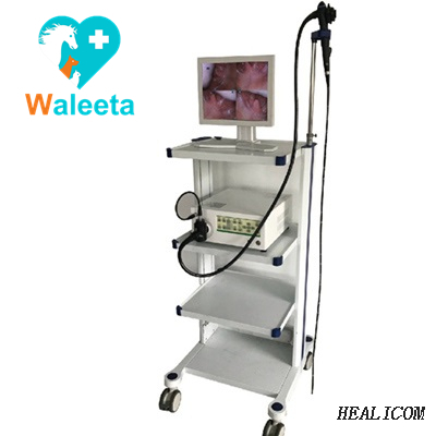 Alta qualità WTE-9000A 19 '' Monitor LCD Video Trolley Processo endoscopio Sorgente luminosa Endoscopio veterinario